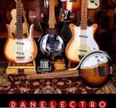 INSTRUMENTOS DANELECTRO