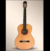 GUITARRA CLASICA ALHAMBRA 7PA C/FUNDA 9738