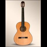 GUITARRA CLASICA ALHAMBRA FLAMENCO 7FC C/FUNDA 9738