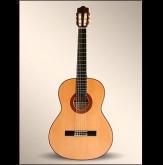 GUITARRA CLASICA ALHAMBRA FLAMENCO 10FC C/ESTUCHE 9557