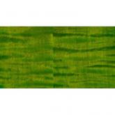 PRS GUITARS Guitarra el�ctrica double cut CUSTOM 24 PIEZO ERIZA VERDE 649474