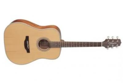 GUITARRA TAKAMINE GD20 DREADNOUGHT - SATIN NATURAL