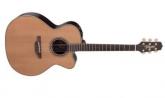 TAKAMINE JUMBO NATURAL E/A CUTAWAY DN25C