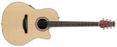 Ovation Applause Guitarra electro-acstica Natural Mate AB24-4S