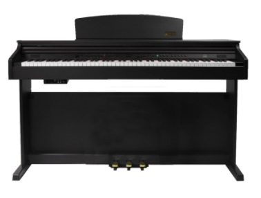PIANO DIGITAL ARTESIA DP10-E