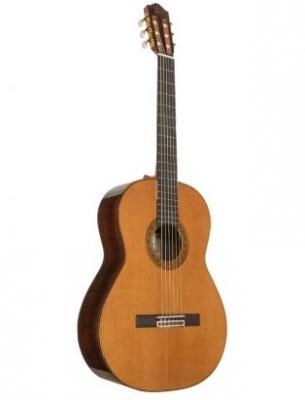 JOSE TORRES Guitarra clsica 4/4 JTC-200. 651141