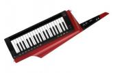 KORG Teclado sintetizador profesional RK-100S 2 RD. 639913