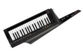 KORG Teclado sintetizador profesional RK-100S 2 BK. 639914