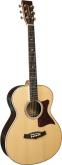 GUITARRA ACSTICA TANGLEWOOD ELECTRIFICADA TW75HSRE SUPER FOLK