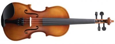 VIOL�N AMADEUS VA-101 4/4