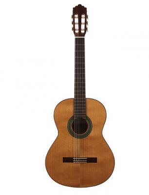 Guitarra Clsica Altamira N100+