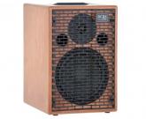 ACUS Amplificador para guitarra acustica ONE FORSTREET 8 WOOD.651400