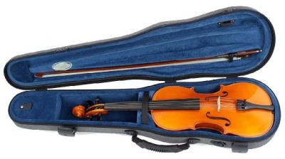 VIOLA H�FNER 16