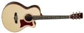 GUITARRA ACSTICA TANGLEWOOD SUPER FOLK CON CUTAWAY TW45RVSE SERIE HERITAGE