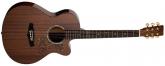 GUITARRA ACSTICA TANGLEWOOD TW47RE SERIE SUNDANCE PERFORMANCE PRO