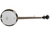 BANJO DE 5 CUERDAS TANGLEWOOD TWB18M5