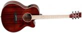 GUITARRA ACSTICA TANGLEWOOD TW4BLB SERIE WINTERLEAF BLONDE