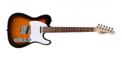 GUITARRA EL�CTRICA ARIA TC SOMBREADA TEG0023TS
