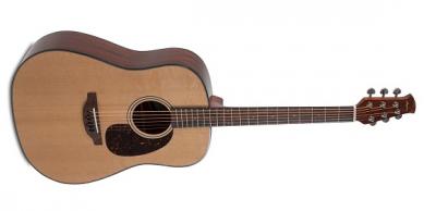 Applause Guitarra ac�stica AAD-96-4 AP510.102