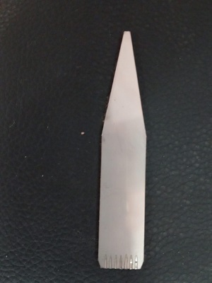 LENG�ETA DE PLATA LP