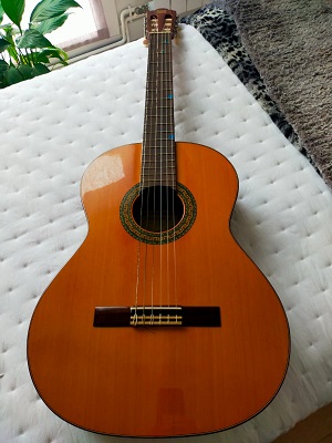 GUITARRA CLSICA ALHAMBRA CON FUNDA