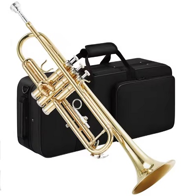 ALQUILER CON OPCI�N DE COMPRA TROMPETA