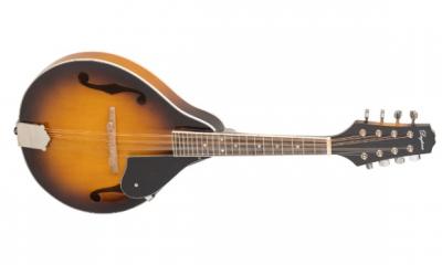 MANDOLINA DAYTONA ML01