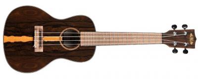 UKELELE KALA CONCIERTO DE ZIRICOTE KAZCTC