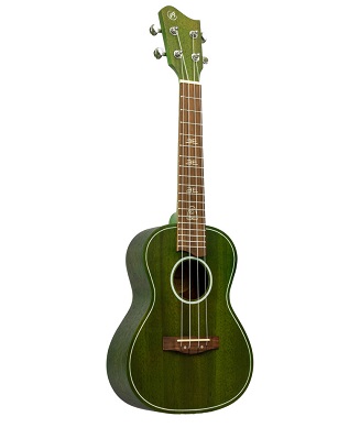 Ukelele Soprano Bamboo B21-EA Earth