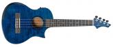 UKELELE