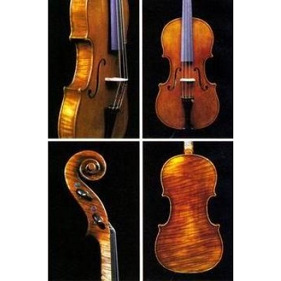 VIOLA