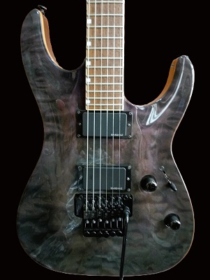ELECTRICA LTD MH-301