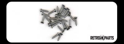 TORNILLOS CROMADOS PARA GOLPEADOR RP-109C