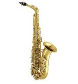 SAXOFON ALTO J.MICHAEL EN MIb 500