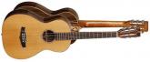 GUITARRA ACSTICA TANGLEWOOD TWJPE PARLOUR