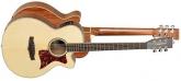 GUITARRA ACSTICA TANGLEWOOD TSP45 SUPER FOLK